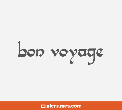 Bon Voyage